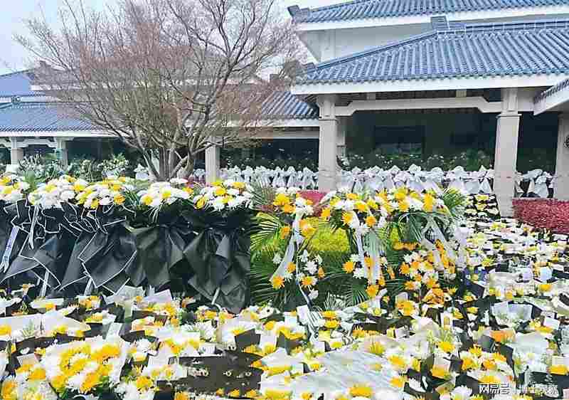  【教育赛道复盘】十七年深耕方法论：张雪峰如何重塑高考志愿咨询行业格局 教育招生