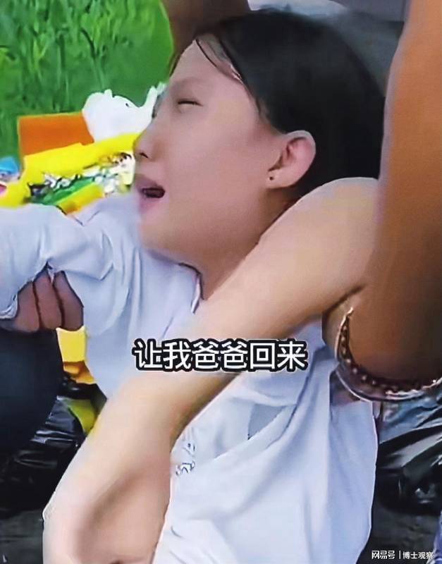  【教育赛道复盘】十七年深耕方法论：张雪峰如何重塑高考志愿咨询行业格局 教育招生