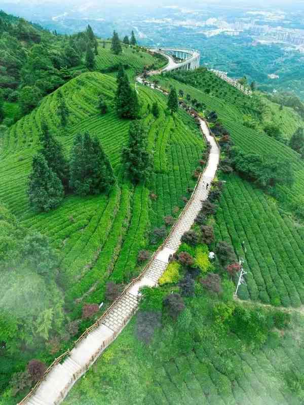 清明小长假:跟这份攻略上春山,给疲惫的心放个假 情感心理