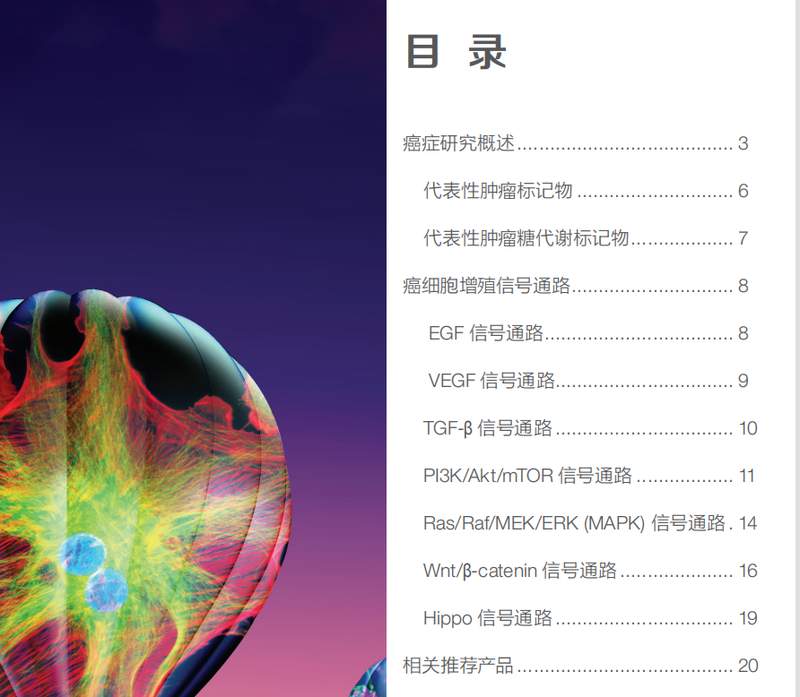  还在为免疫组化结果发愁？一位科研人的真实心路与破局经验分享 健康养生