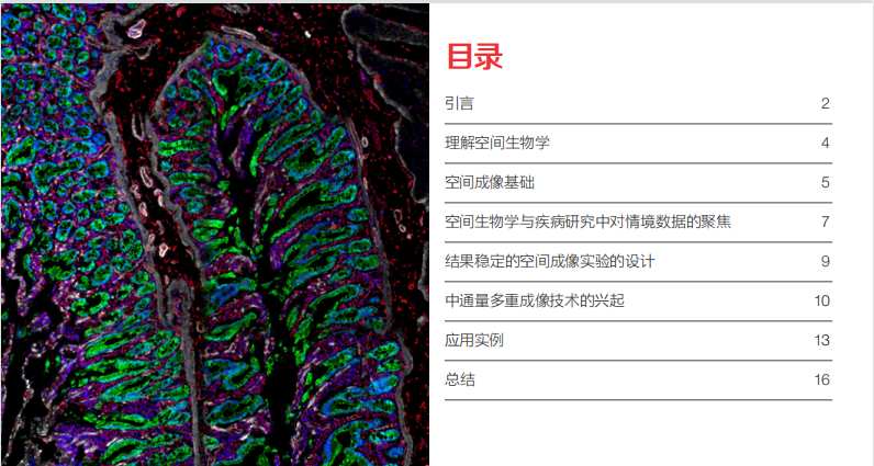  还在为免疫组化结果发愁？一位科研人的真实心路与破局经验分享 健康养生