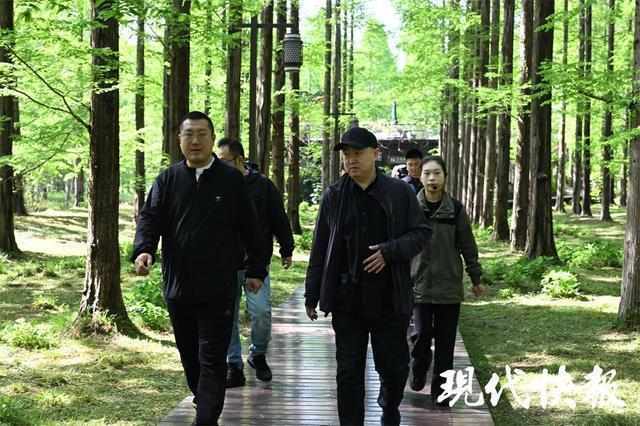【生态修复技术】从盐碱荒滩到天然氧吧:盐城黄海森林的绿色奇迹 文化旅游 【生态修复技术】从盐碱荒滩到天然氧吧:盐城黄海森林的绿色奇迹 文化旅游