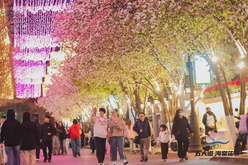 五大道海棠季·技术视角下的城市文旅数据解码 新闻 五大道海棠季·技术视角下的城市文旅数据解码 新闻 五大道海棠季·技术视角下的城市文旅数据解码 新闻