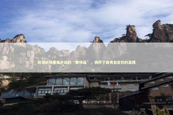 批发市场里卖不动的“奢侈品”，揭开了商务包定价的真相 新闻