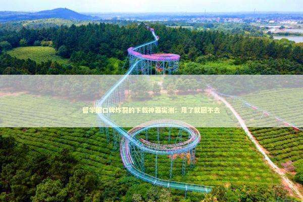留学圈口碑炸裂的下载神器实测：用了就回不去